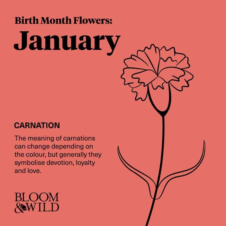 birth flower january