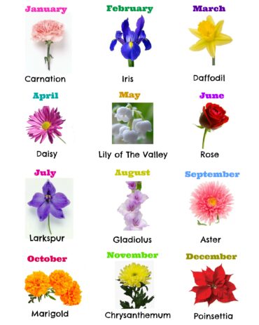 birth flowers for each month