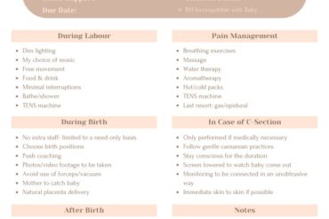 birth plan format