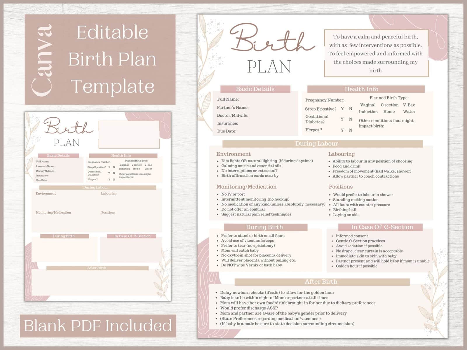 birthing plan template