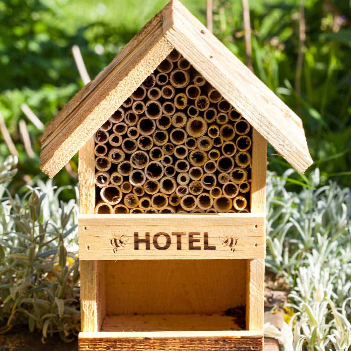 bug hotels