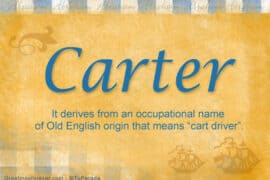 carter meaning of name