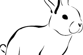 draw bunny