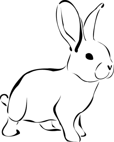 draw bunny