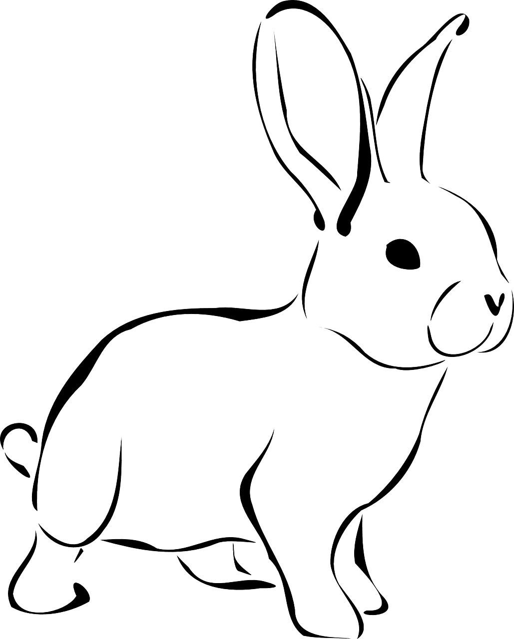 draw bunny