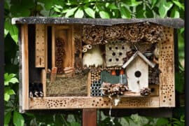 insect hotel