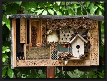 insect hotel