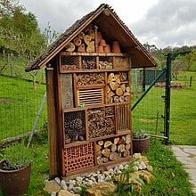 insect hotels