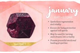 january birthstone and flower