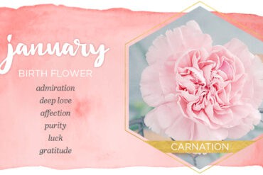 january birthstone flower