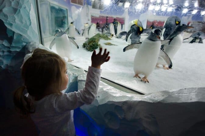 kelly tarlton's aquarium