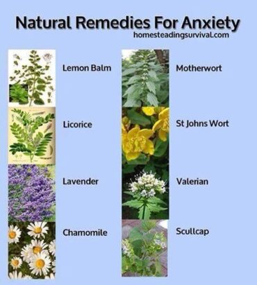 natural cures for anxiety