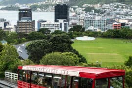 things to do at wellington