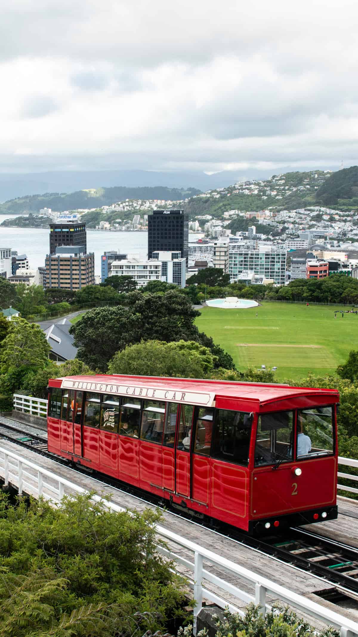 things to do at wellington