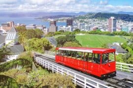 things to do in wellington cbd