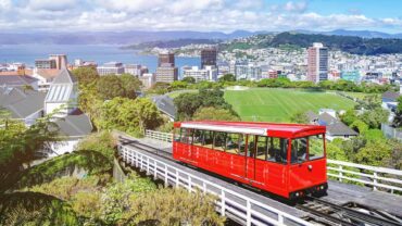 things to do in wellington cbd