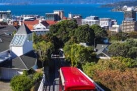 things to do in wellington nz