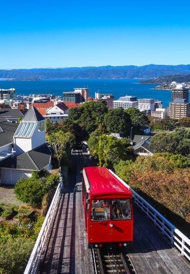 things to do in wellington nz