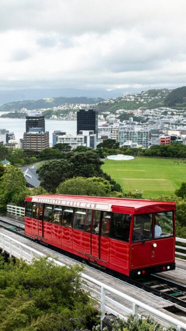 things to do wellington new zealand