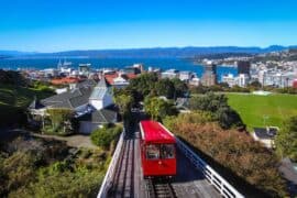 what to do in wellington