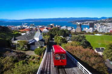 what to do in wellington