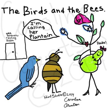 why is it called the birds and the bees