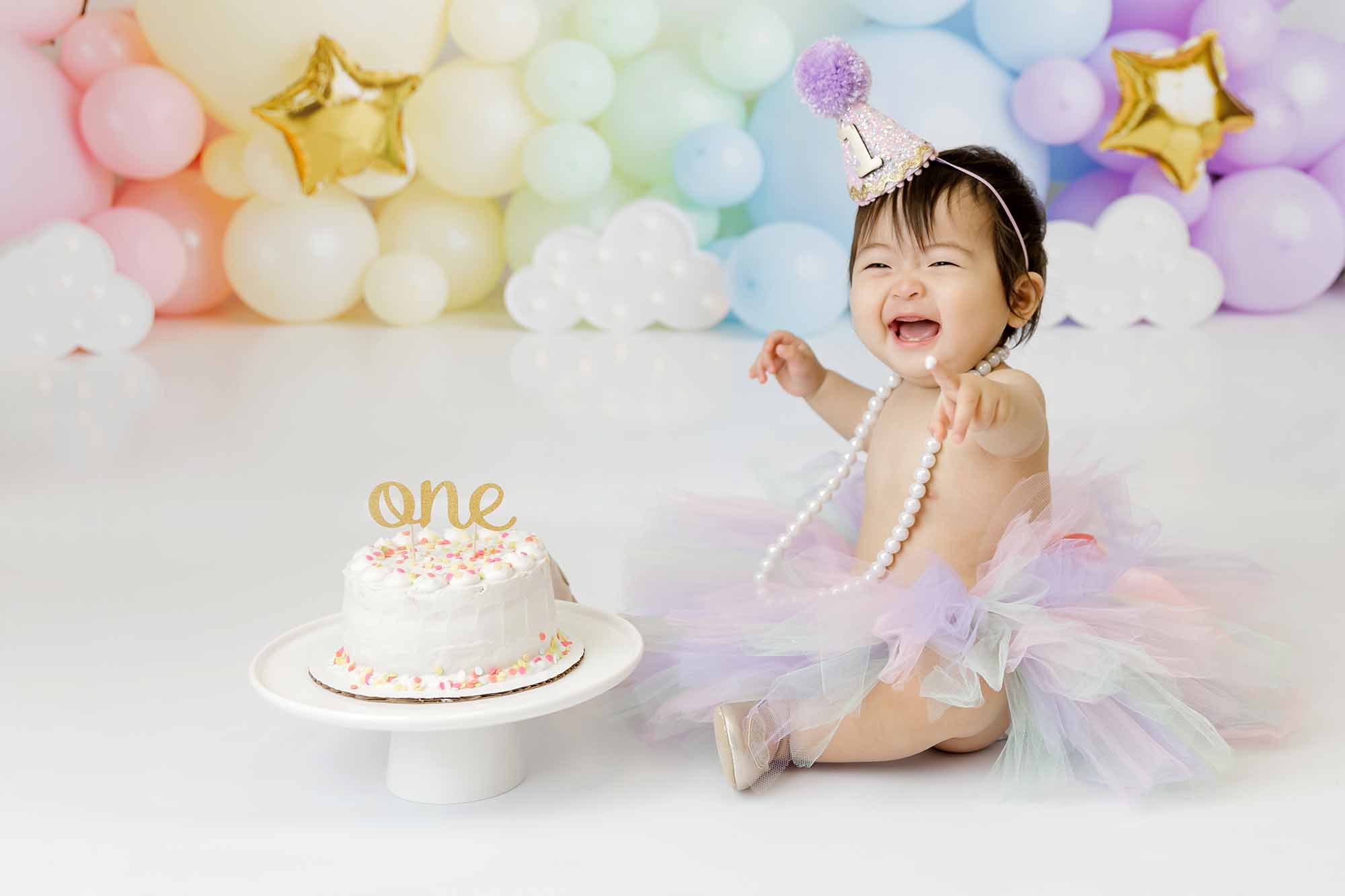 1 year old birthday party venues in Blaine Minnesota