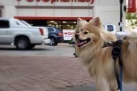 24 Hour Drug Store in Centennial Colorado