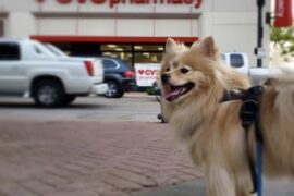 24 Hour Drug Store in Wesley Chapel Florida