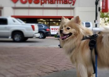 24 Hour Drug Store in Wesley Chapel Florida