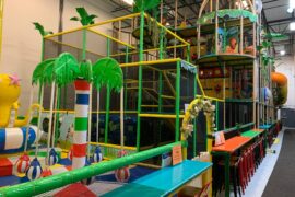 5 year old birthday party venues in Fishers Indiana