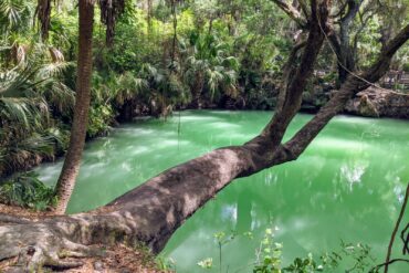 Amusement Parks in Deltona Florida