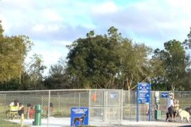 Best Playgrounds in Lehigh Acres Florida