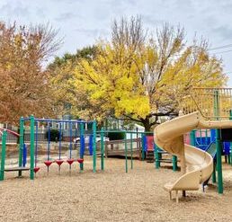 Best Playgrounds in Pawtucket Rhode Island