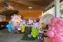 Birthday Party Venues in Orlando Florida