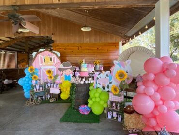 Birthday Party Venues in Orlando Florida