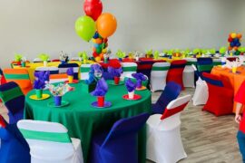 Birthday Party Venues in Rockford Illinois