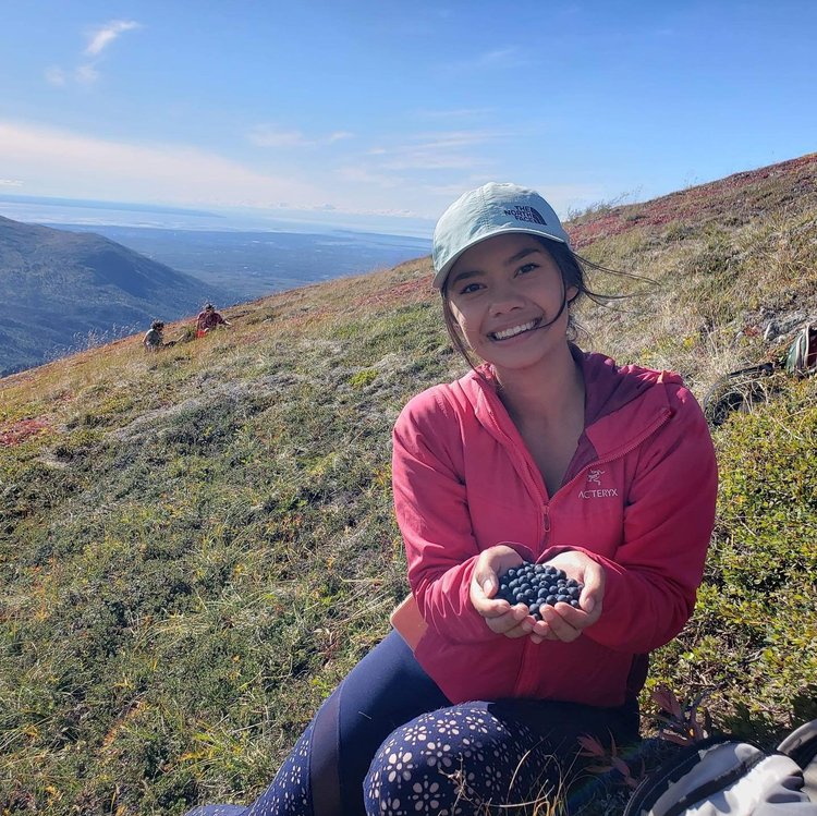 Blueberry Picking Places in Anchorage Alaska