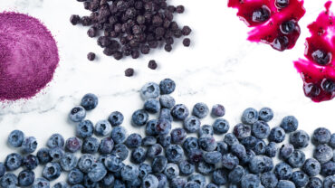 Blueberry Picking Places in Doral Florida