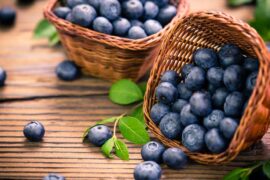 Blueberry Picking Places in Eagan Minnesota