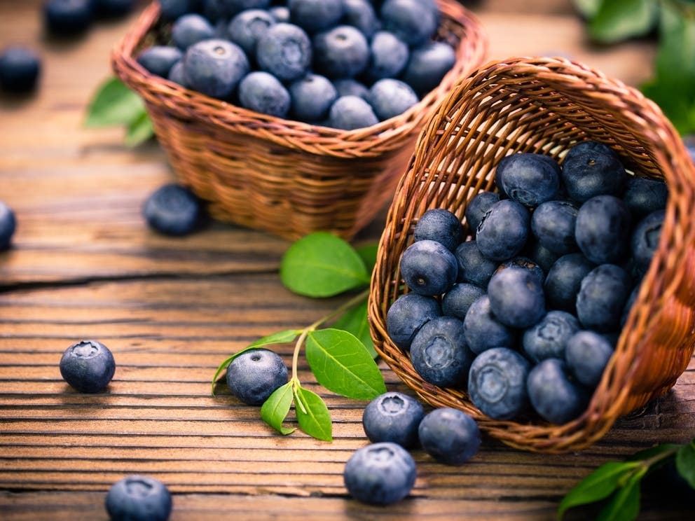 Blueberry Picking Places in Eagan Minnesota