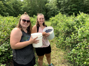 Blueberry Picking Places in Elgin Illinois