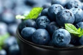 Blueberry Picking Places in Lakeland Florida