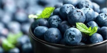 Blueberry Picking Places in Lakeland Florida