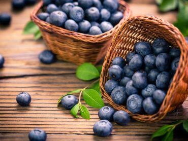 Blueberry Picking Places in Lakeville Minnesota