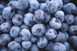 Blueberry Picking Places in Silver Spring Maryland