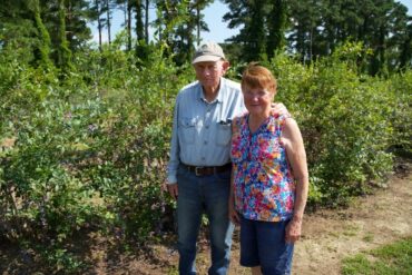 Blueberry Picking Places in Suffolk Virginia