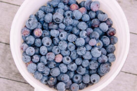 Blueberry Picking Places in Tampa Florida