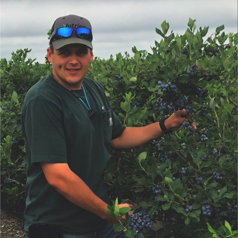 Blueberry Picking Places in Thornton Colorado