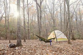 Camping Spots in Auburn Alabama